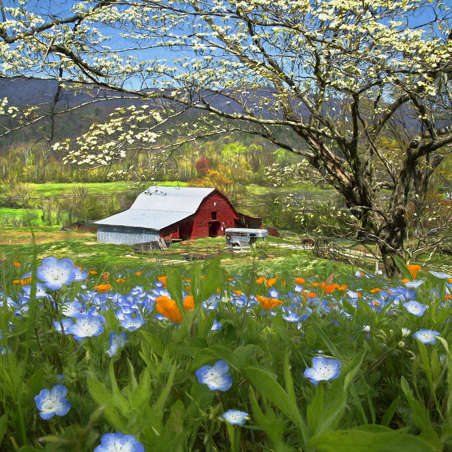 Red Barn Under the Dogwoods and Wildflowers Painting Photograph by Debra and Dave Vanderlaan