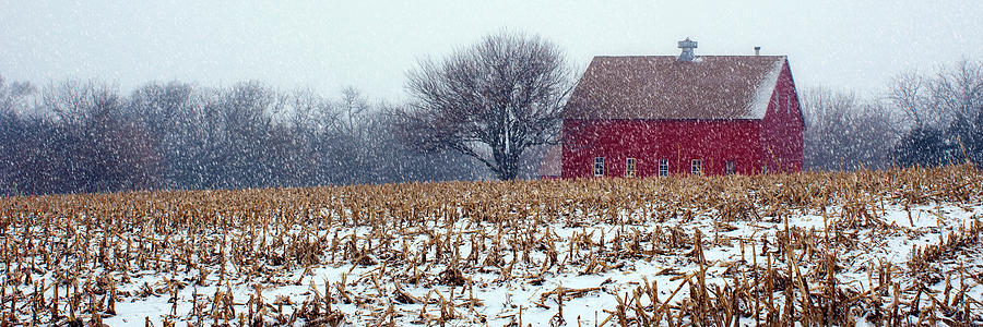 Winter Photograph - Red Barn - Winter Field by Nikolyn McDonald