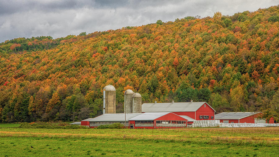 Red Barns in Autumn Photograph by Rod Best