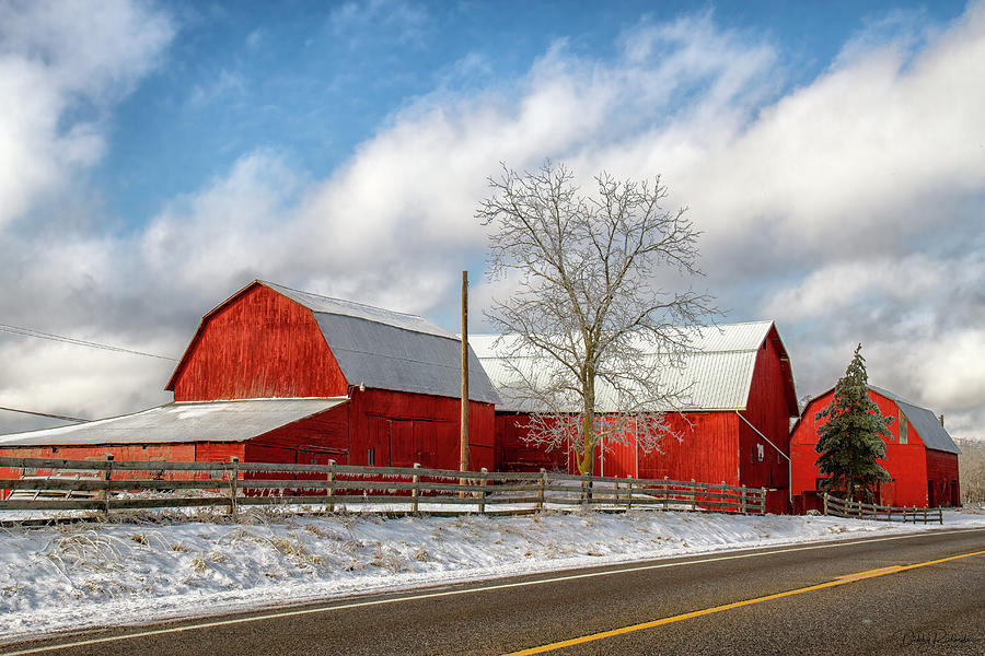 Red Barns in Winter Photograph by Debby Richards