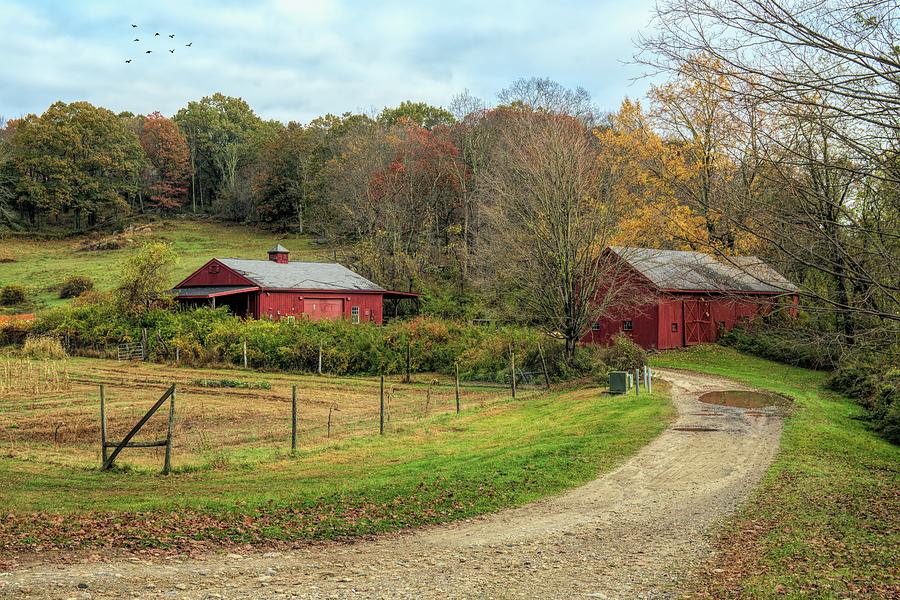 Red Barns Photograph by June Marie Sobrito