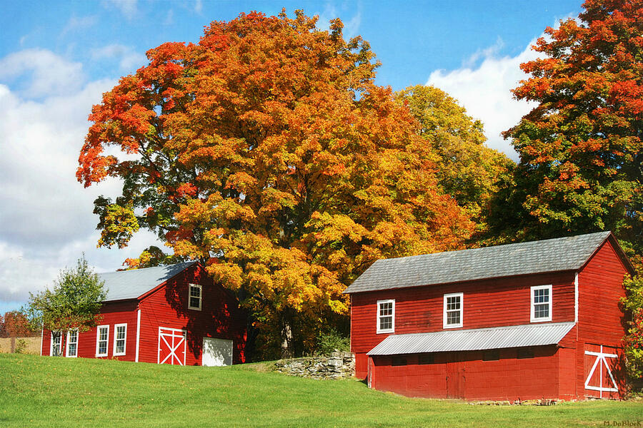 Red Barns of Autumn Photograph by Marilyn DeBlock - Fine Art America