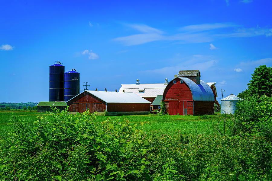 Red Barns on a Summer Day Photograph by Chuck De La Rosa