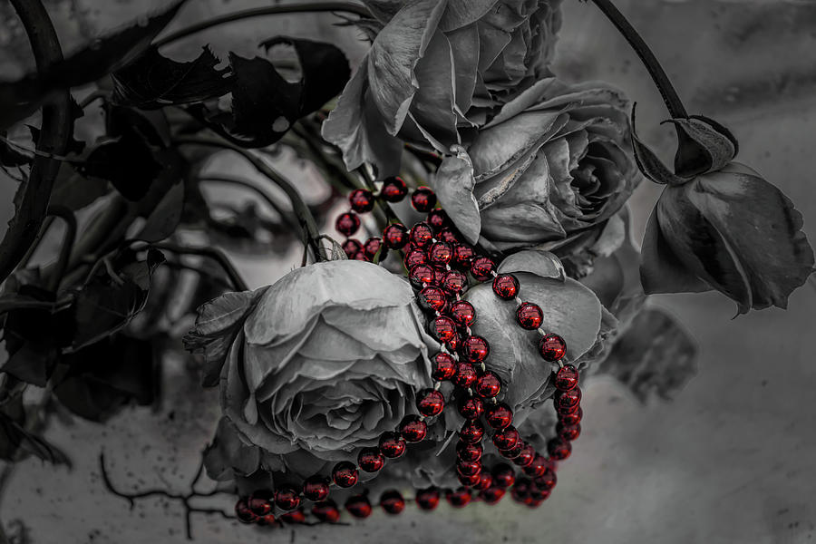Red Beads and Roses Photograph by Sharon Popek