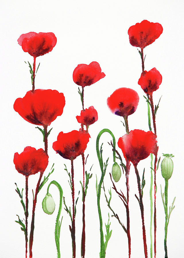 Red Beautiful Poppies Field Watercolor Flowers II Painting by Irina Sztukowski