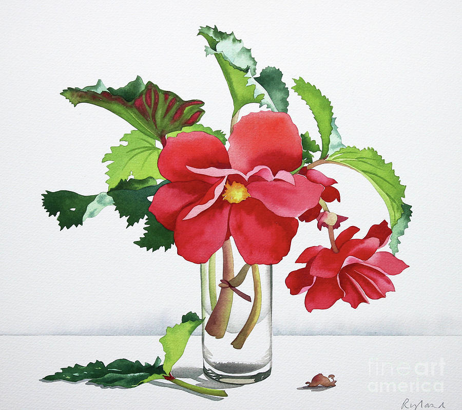 Flower Painting - Red Begonia by Christopher Ryland