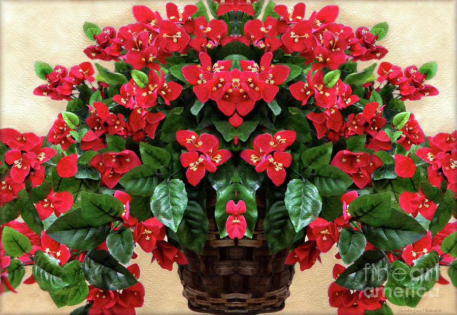 Red Begonia Digital Art Photograph by Sandra Huston
