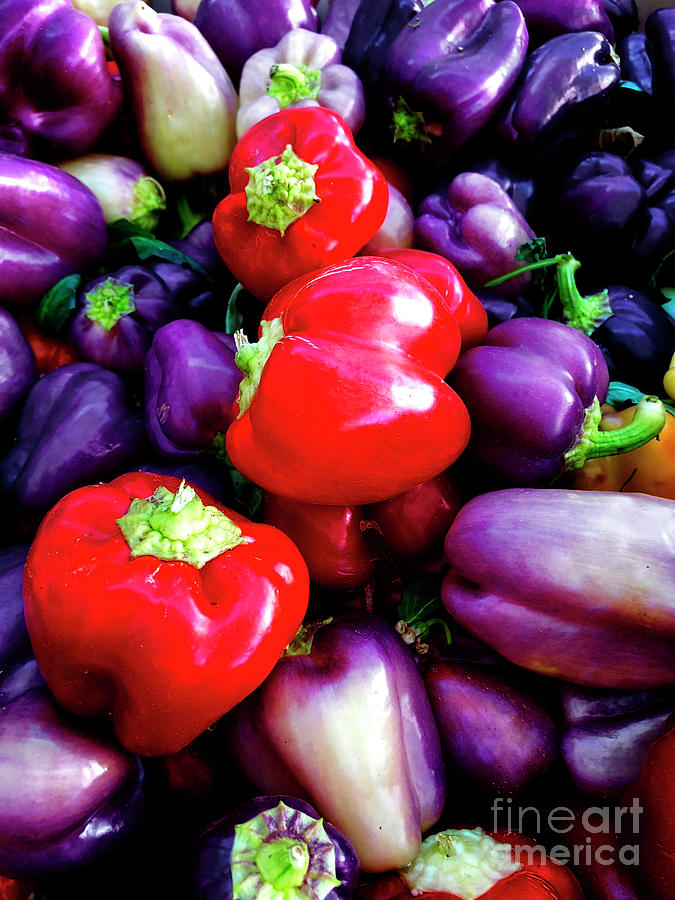 Red Bell Peppers Photograph by Doc Braham