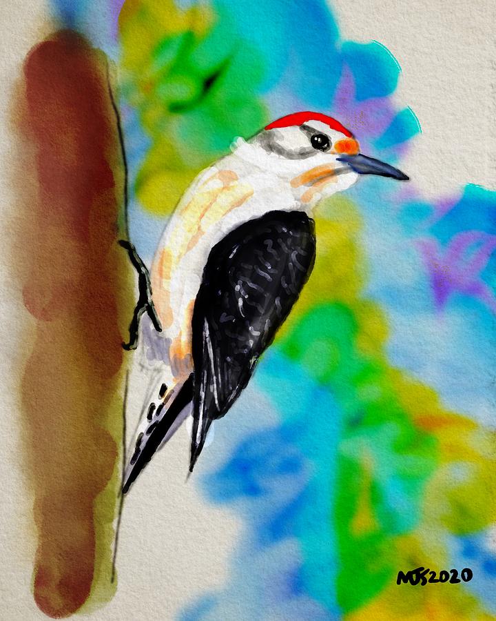Red Bellied Woodpecker  Digital Art by Michael Kallstrom