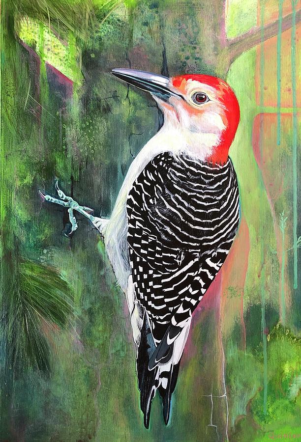 Red Bellied Woodpecker Painting By Quinlan Rhodes 