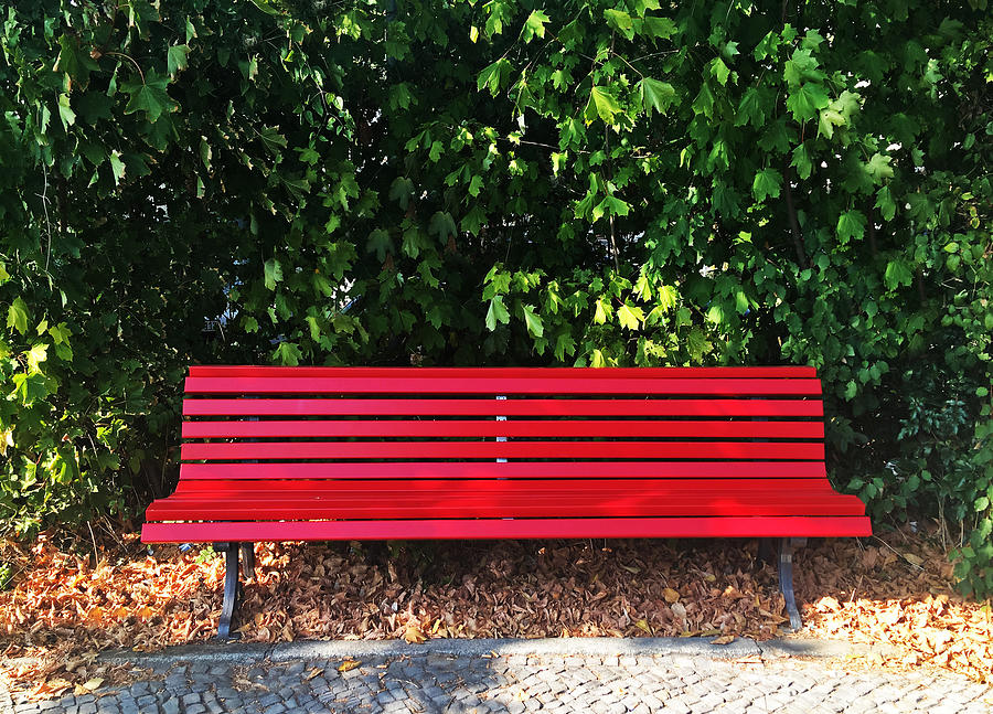 Red bench in a public park Photograph by Fhm