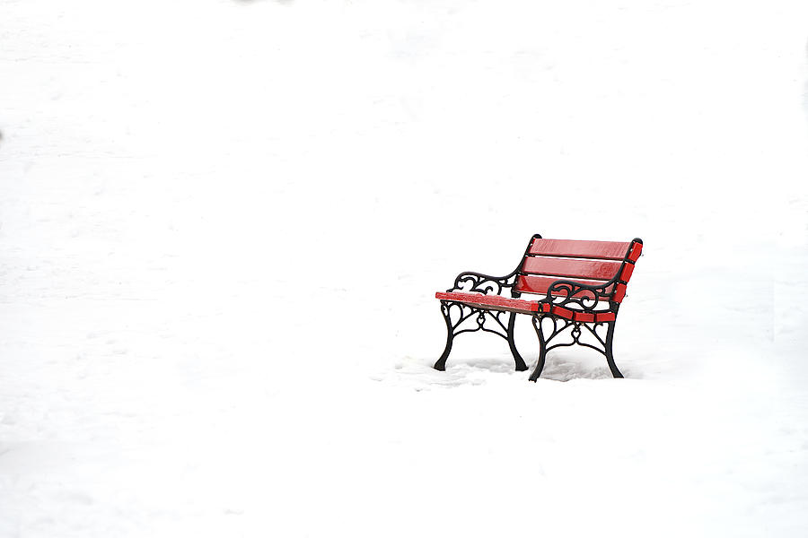 Red Bench in Snow Photograph by Richard Reeve