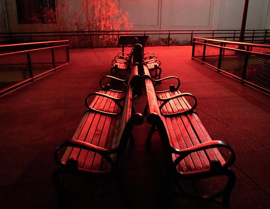 Red Benches Photograph by Steven Clark