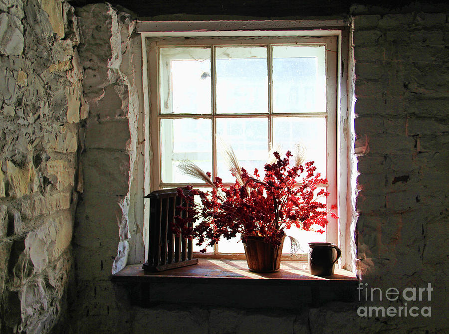 Red Berries and Old Window 0421 Photograph by Jack Schultz