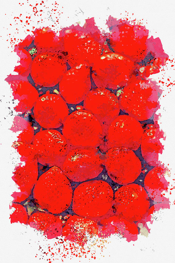 red berries ca by Ahmet Asar Asar Studios Painting by Celestial Images