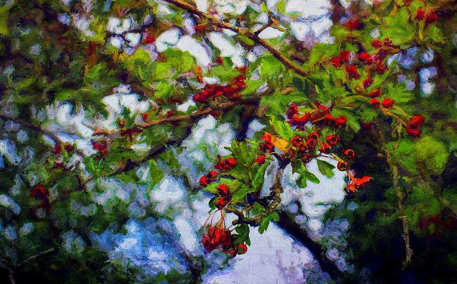Red Berries Digital Art by Charmaine Zoe