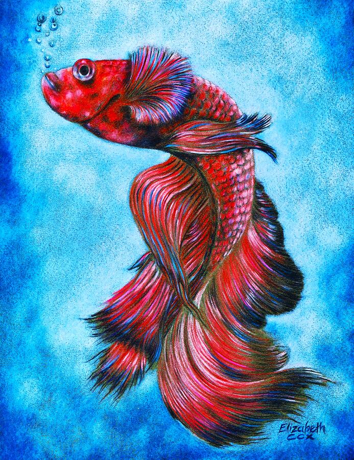 Fish Mixed Media - Red Betta by Elizabeth Cox