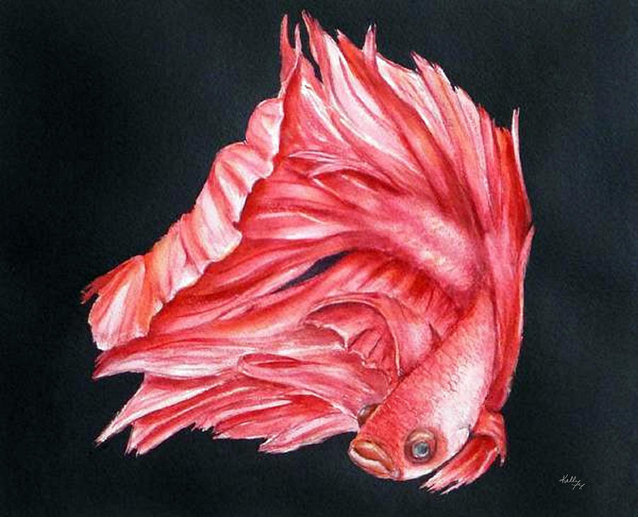 Red Betta Fighting Fish Painting by Kelly Mills