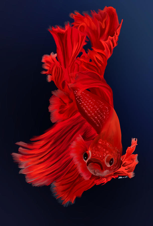 Red Betta Fish Painting Painting by Becky Herrera