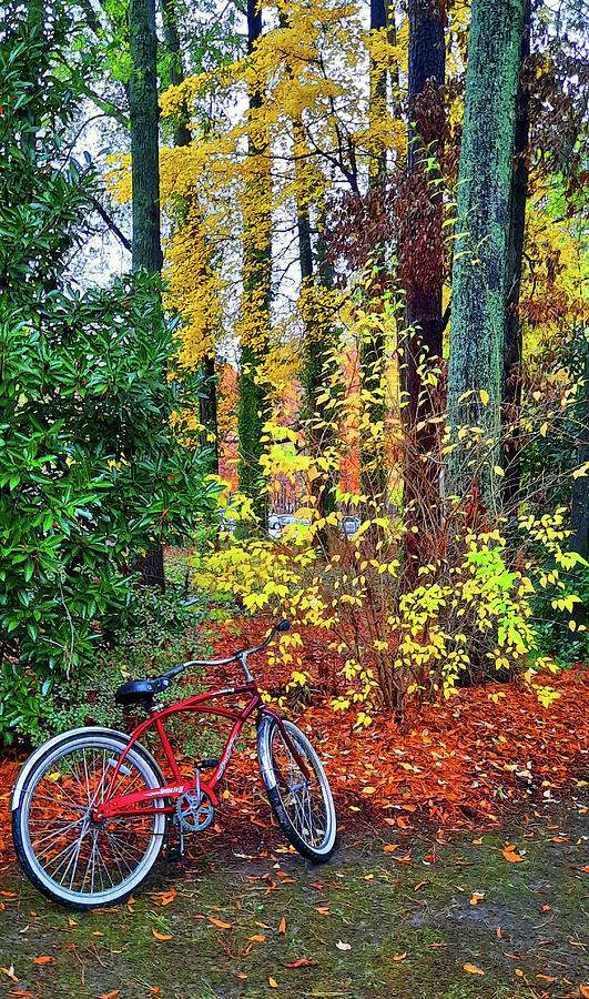 Red Bicycle on Autumns Path Photograph by Ola Allen