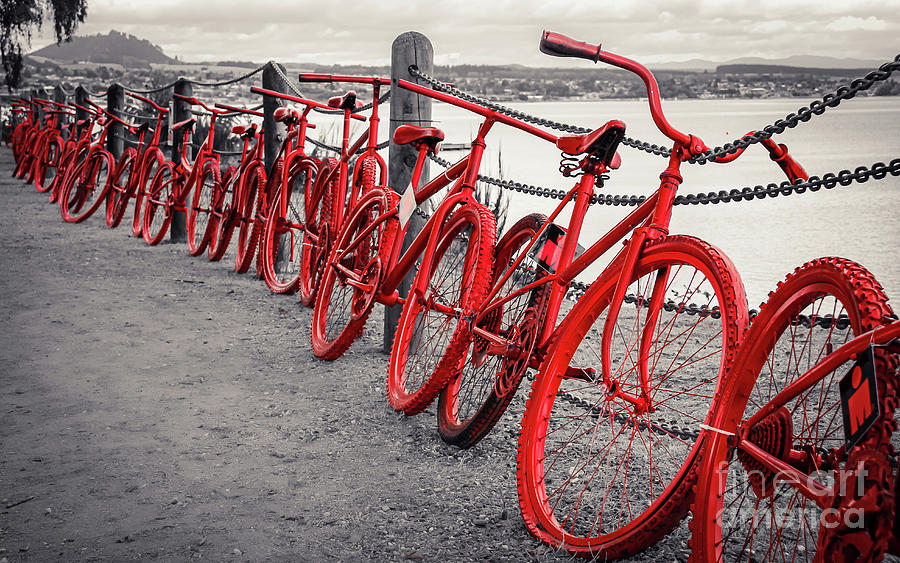 Red bikes at Lake Taupo, selective colors Photograph by Lyl Dil Creations