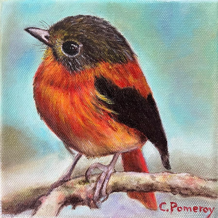 Red Bird Painting by Carolyn Pomeroy | Fine Art America