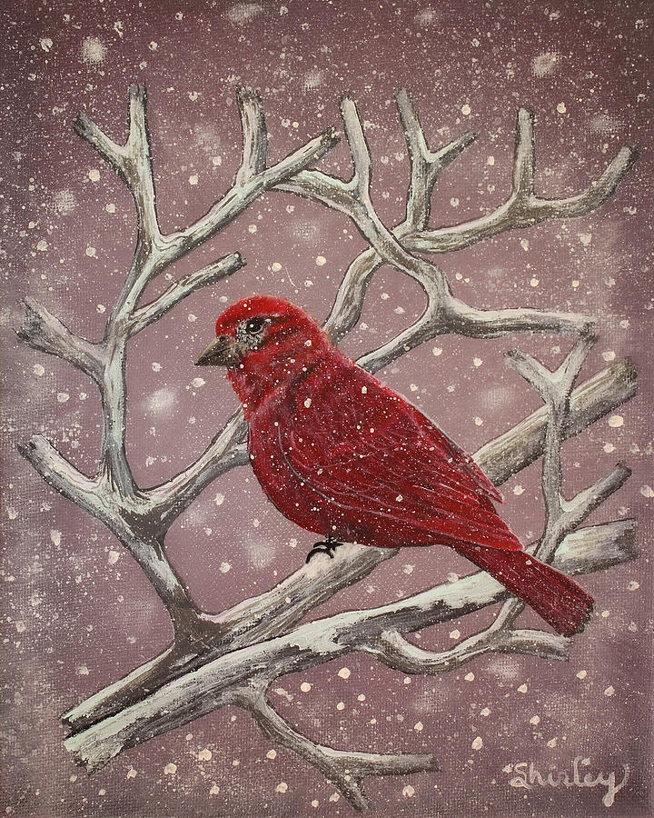 Winter Red Bird Painting by Shirley Dutchkowski