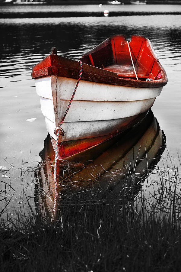 Red Boat Photograph - Red Boat by Darius Aniunas