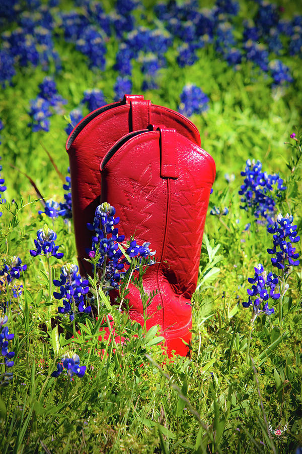 Red Boots in Bluebonnets Photograph by Pam Rendall