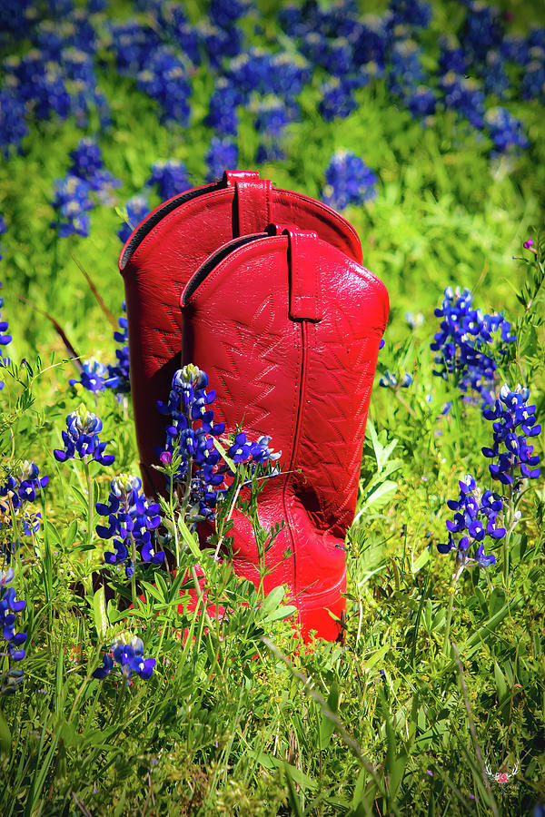 Red Boots Photograph by Pam Rendall