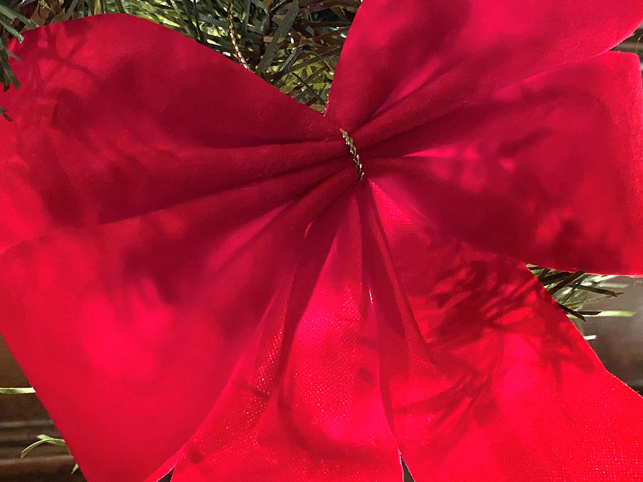 Red bow with light and shadow Photograph by Brigitta Diaz - Fine Art ...