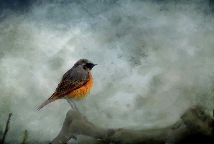 Red Breast Bird At Dawn Following the Storm Mixed Media by David Dehner
