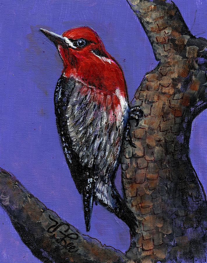 Red-Breasted Sapsucker Painting by VLee Watson