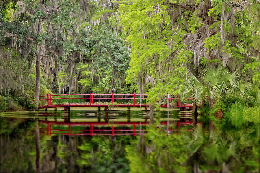 Red Bridge Magnolia Gardens Photograph by Susan Candelario