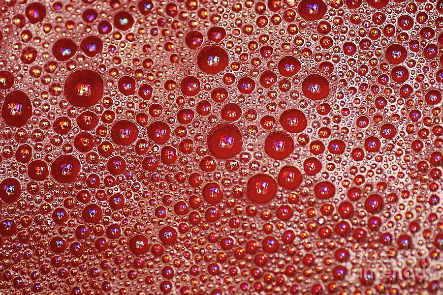 Red Bubbles by Kaye Menner Photograph by Kaye Menner
