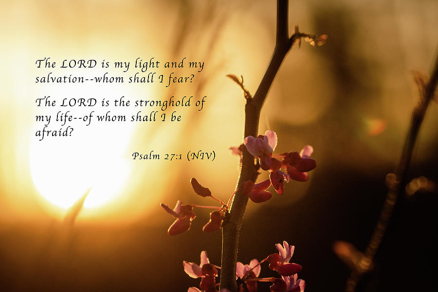 Red Bud Sunset with Scripture Photograph by Joni Eskridge