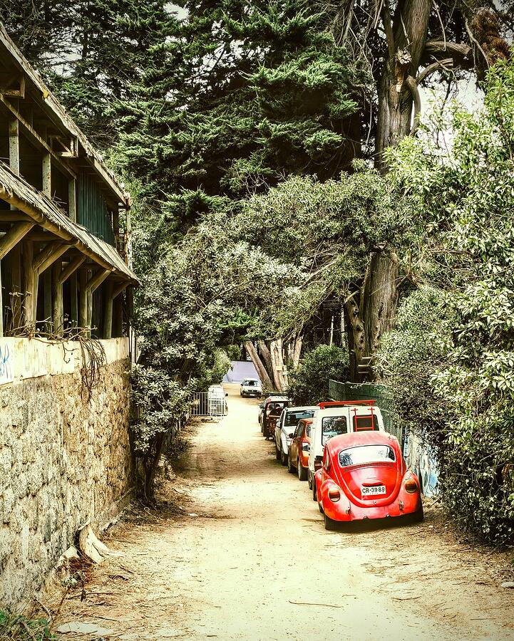 Narrow Road Photograph - Red Bug on a dusty street in Isla Negra by Tristan Pruss