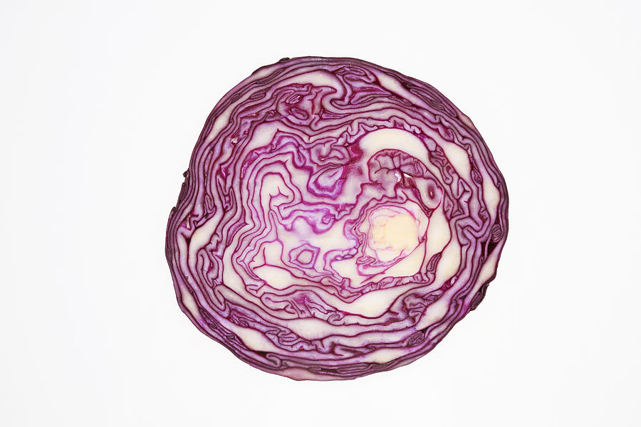 Red Cabbage Photograph by Hiroshi Higuchi