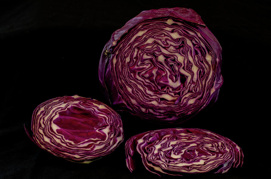 Red Cabbage on Black Photograph by Alan Goldberg