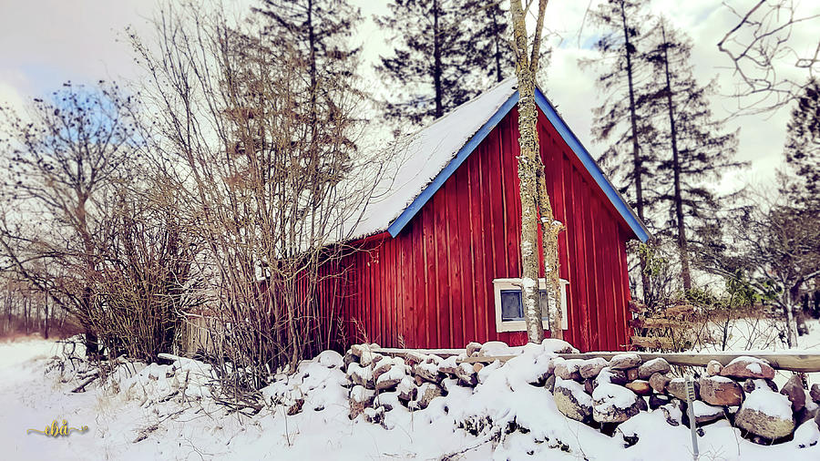 Red Cabin Photograph by Elaine Berger
