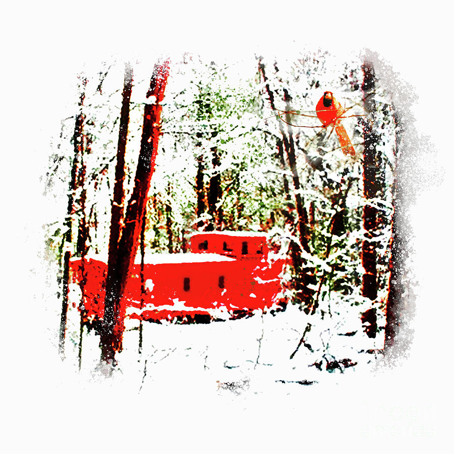 Red Caboose in winter, Holiday cards Digital Art by Gina Signore