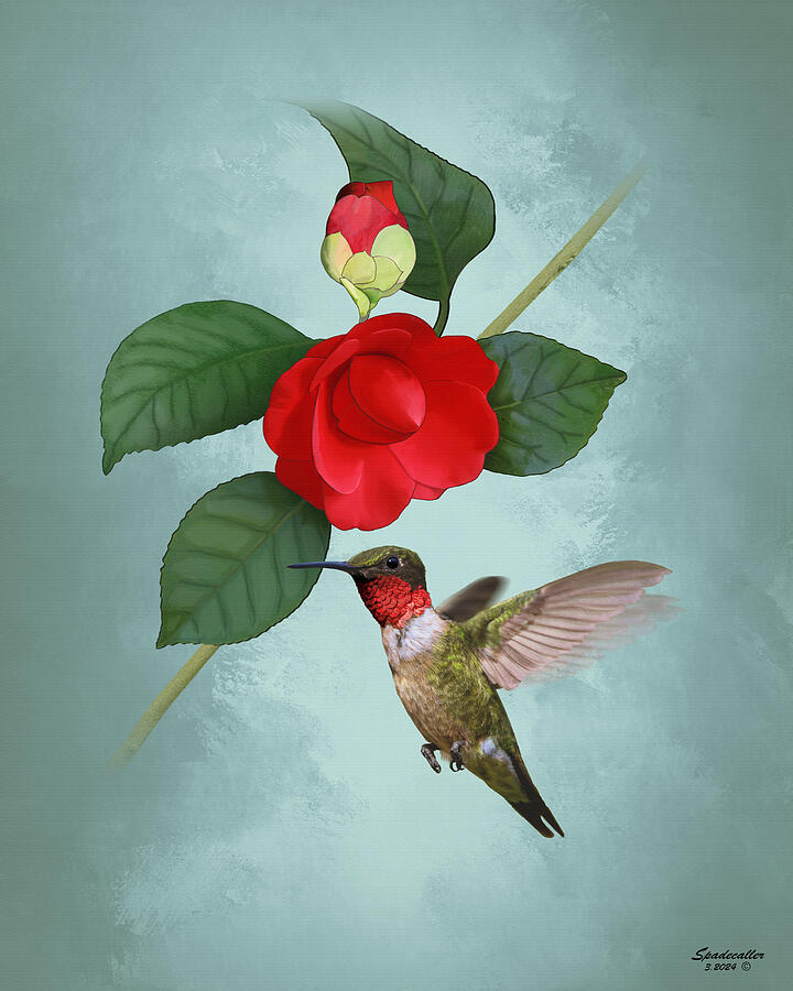 Hummingbird Digital Art - Red Camellia and Hummingbird by Spadecaller