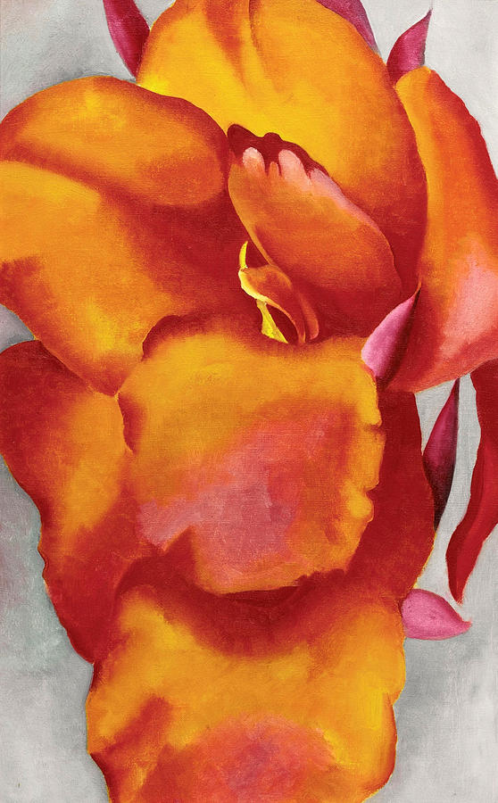 Red canna 1924 - Modernist flower close up painting Painting by Georgia OKeeffe
