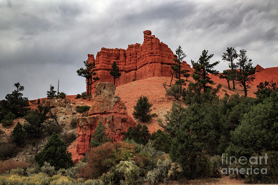 Red Canyon Photograph - Red Canyon 8b8062 by Stephen Parker