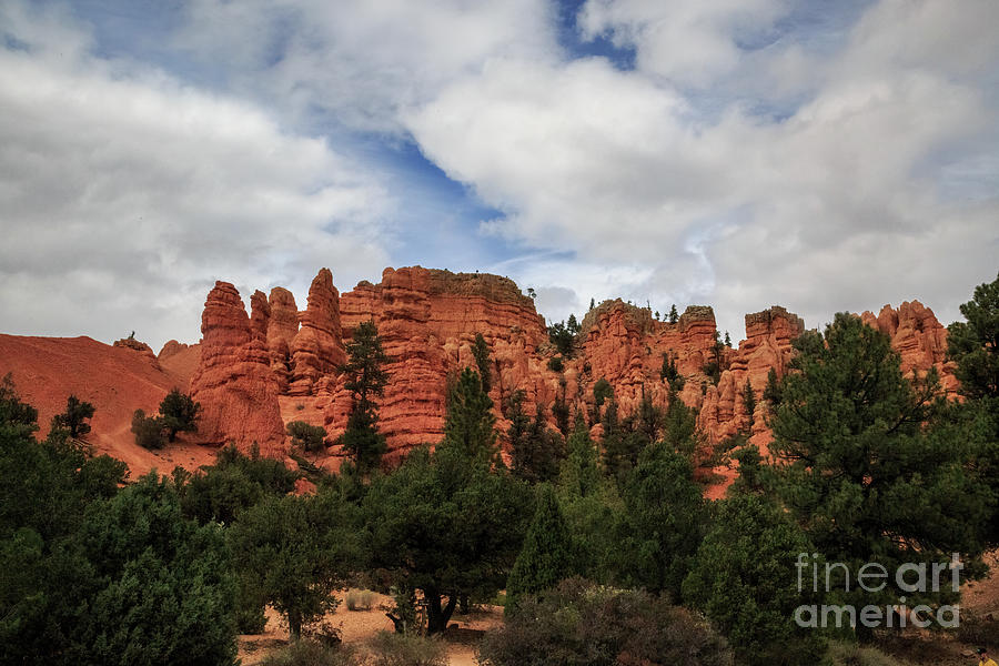 Red Canyon Photograph - Red Canyon 8b8065 by Stephen Parker