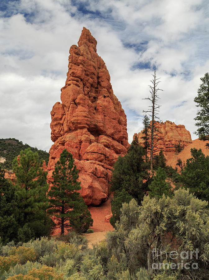 Red Canyon Photograph - Red Canyon  8b8068 by Stephen Parker