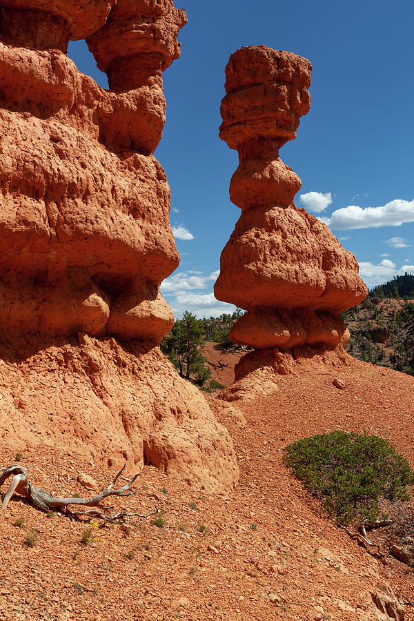 Red Canyon Hoodoo Photograph by James Marvin Phelps