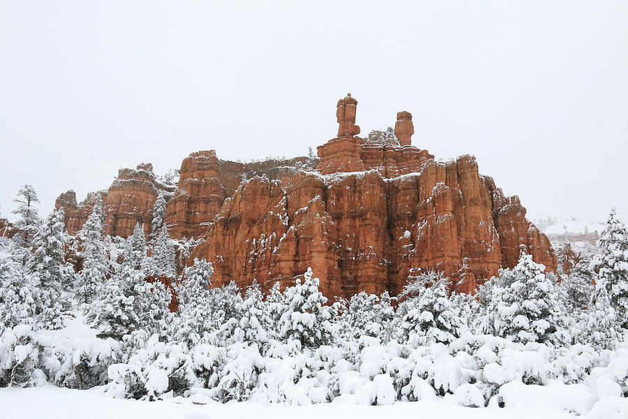 Winter Photograph - Red Canyon Snow by Lori Deiter