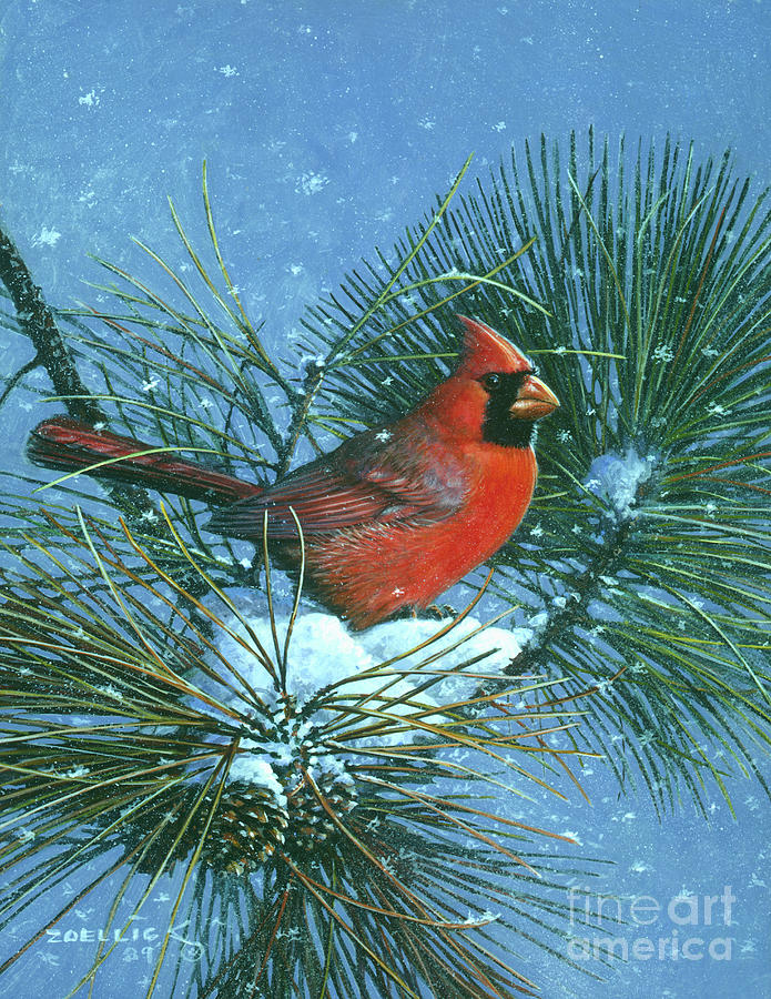 Red Cardinal 4 Painting by Scott Zoellick
