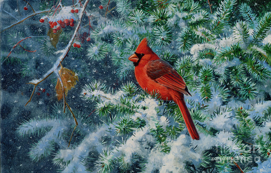 Red Cardinal 5 Painting by Scott Zoellick